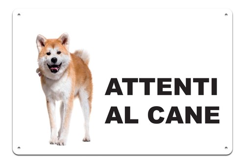 Cartello attenti cane in - cane,