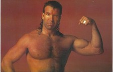 Scott hall wcw nwo - hall, wcw/nwo