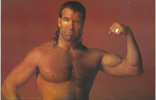 Scott hall wcw nwo - scott, panini
