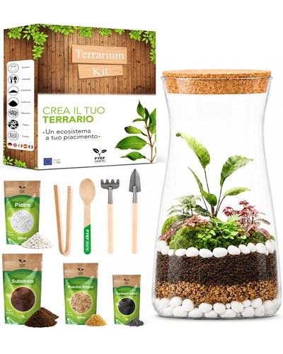 Terrarium kit diy - diy, per