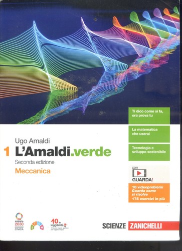 2024 amaldi verde - verde,