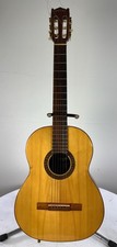 Vintage Giannini AWN100 Acoustic Guitar with Case 1975 Strung with Steel Strings