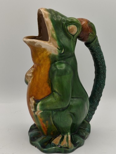 Frog rana collezione - ,