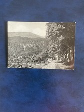 CARTOLINA  CAMPIGNA - VIALE