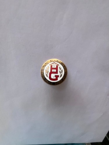 Slesia distintivo membro - distintivo,
