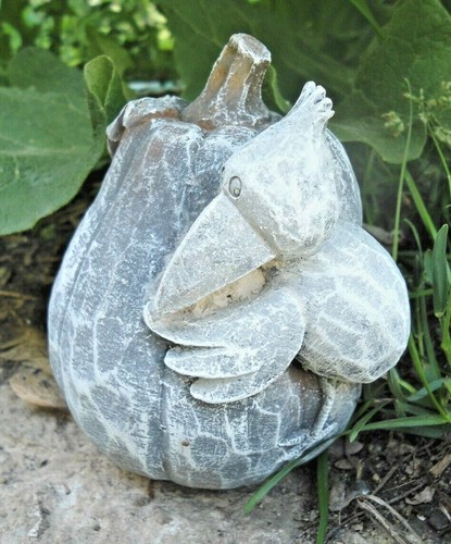 Stampo corvo zucca lattice con