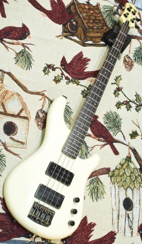 Basso elettrico ibanez - basso,