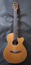 Takamine NPT-110N