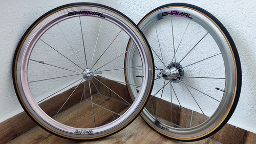 Campagnolo shamal registro - shamal,