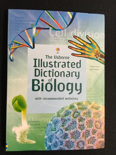 Usborne illustrated dictionary - usborne,