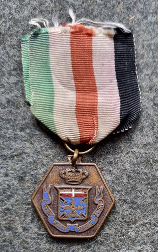 Medaglia regno italia corso - medaglia,