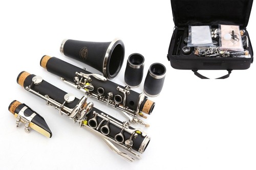 Nuovo clarinetto professionale - nuovo,