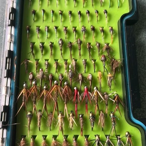 Scatola pesca mosca con - da,