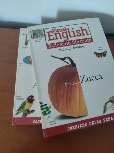 Visual english dizionario - visual,