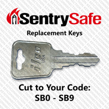 Sentry Safe Replacement Key