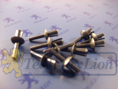 Jeu rivets 5 mm - jeu,
