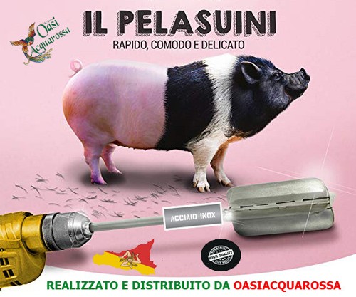 Pela suini trapano - suini,