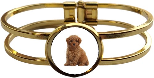 Toy poodle dog pet - toy,