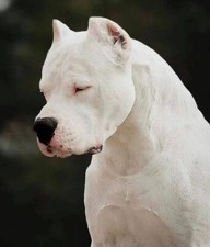 POSTER LOCANDINA QUADRO