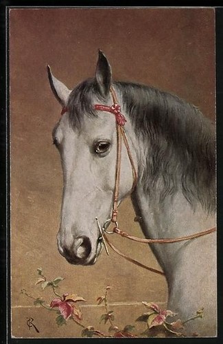 Cartolina artista carl - cartolina,