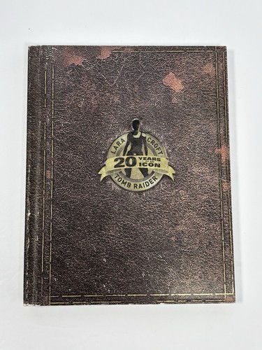 Square enix rise the - the, tomb