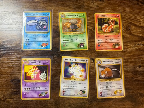 Pokemon eroi palestra - pokemon,
