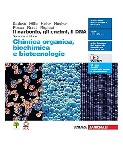 Carbonio gli enzimi il - carbonio,,