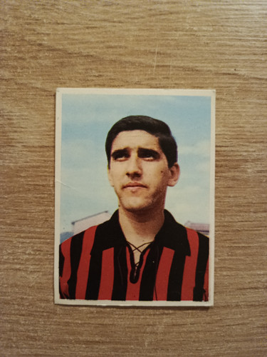 1966 imperia calciatori - 1966-67,