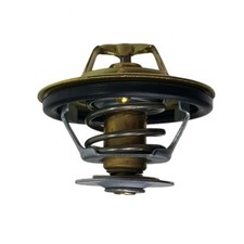 Termostato per motore trattore