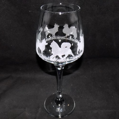 Bicchiere vino per cani - bicchiere, a