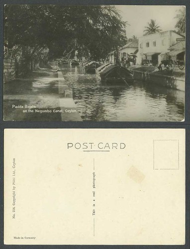 Ceylon old real photo - ceylon, postcard