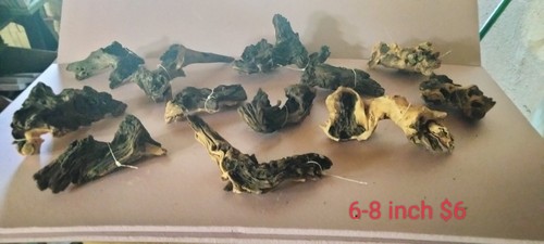 Driftwood mopani lungo - lungo, 6