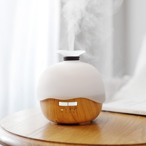 Diffusore aromi - diffusore,