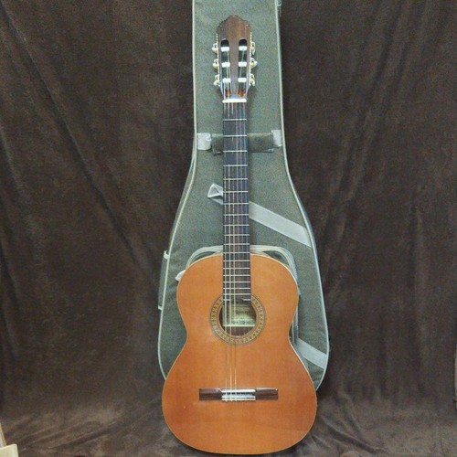 Classical acoustic guitar - classical,