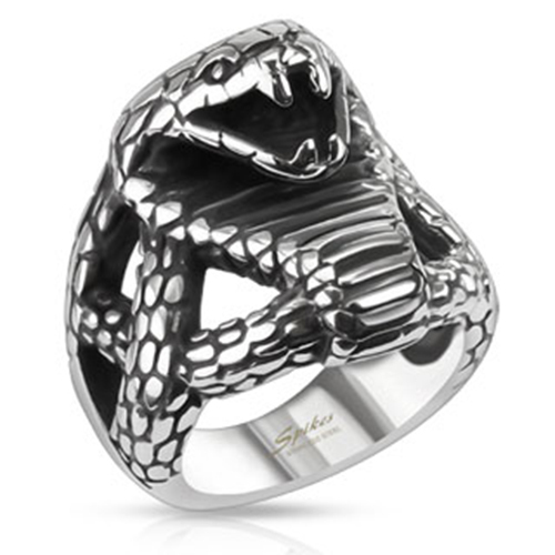 Anello acciaio inox - anello, cobra