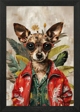 Divertente Chihuahua cane