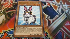 🇮🇹 YU GI OH CONIGLIO DA