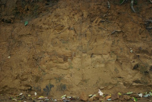Photo 6x4 geological exposure - photo,