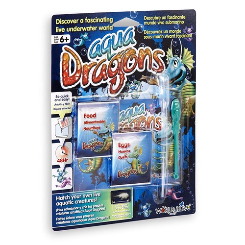 Nuovo aqua dragons - aqua,