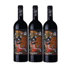 VINO OCONE BOZZOVICH NERO