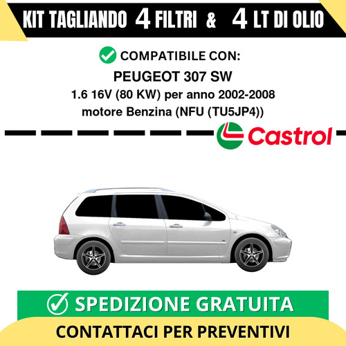 Tagliando per peugeot 307 - per,