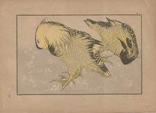 Stampa antica GIAPPONE ANATRE MANDARINE Hokusai Samuel Bing 1885 Antique print