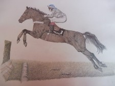 Bello Immagine __ Fantino Con