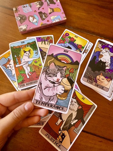 Cat meme tarot mazzo tarocchi - cat,