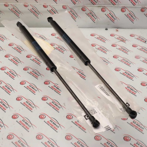 Coppia puntelli portellone - puntelli,