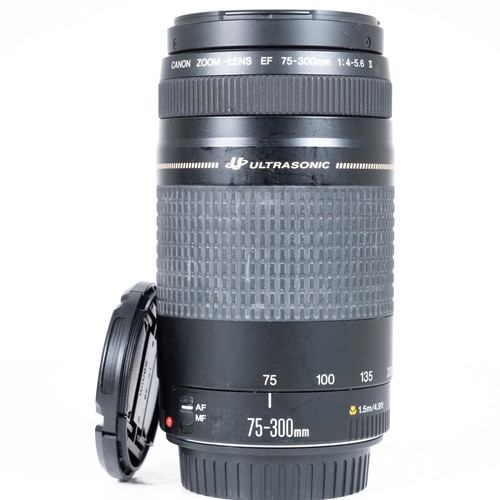 Canon 300 0 5 6 - 75-300, mm