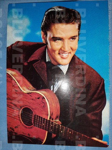 B2465 elvis presley cantante - elvis,