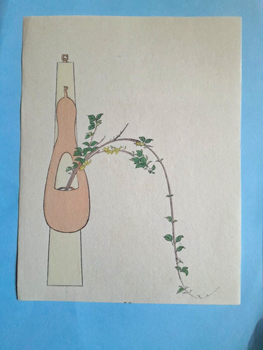 Ikebana forsthia hyotan zucca - forsthia,