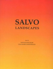 SALVO. LANDSCAPES ARTE DONALD BAECHLER GIAN MARCO MONTESANO Salvo Mangione