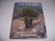 Cycads by Loran M. Whitelock